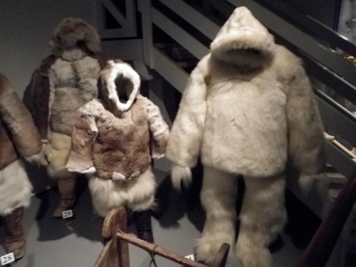 Polar explorer outfits made of polar bear and other furs